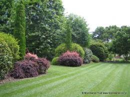 Sports Lawn - Side Path